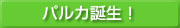 �ѥ륫����